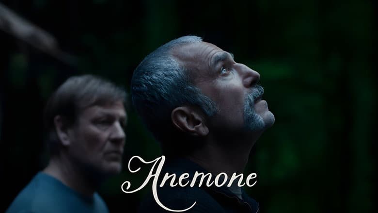 Anemone still