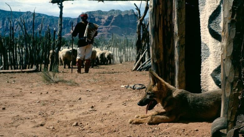 Concho, the Coyote Who Wasn't still