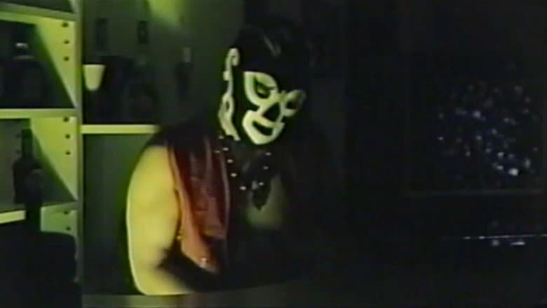 Gay Toybox still