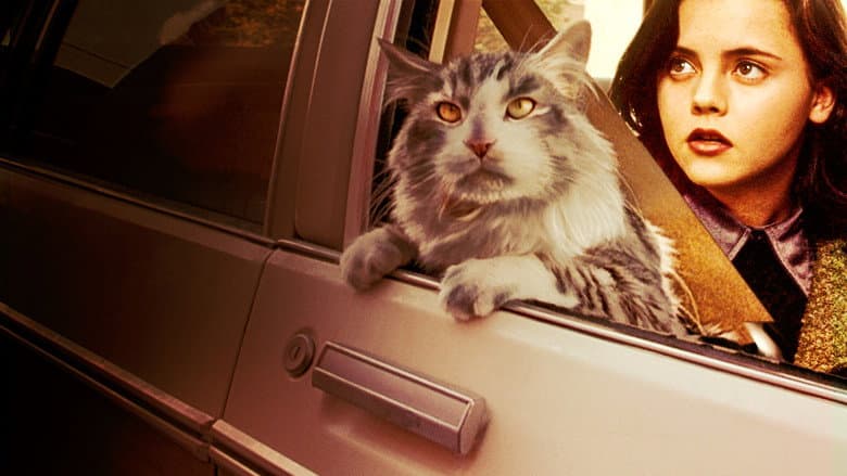 That Darn Cat still