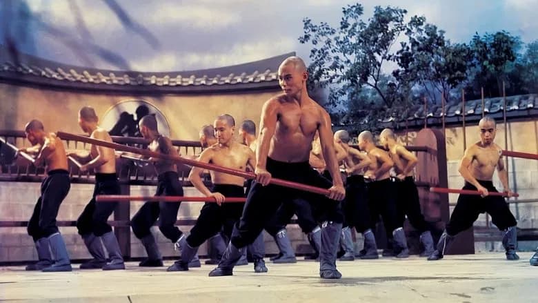 The 36th Chamber of Shaolin still