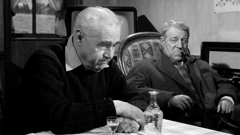 Maigret and the St. Fiacre Case still