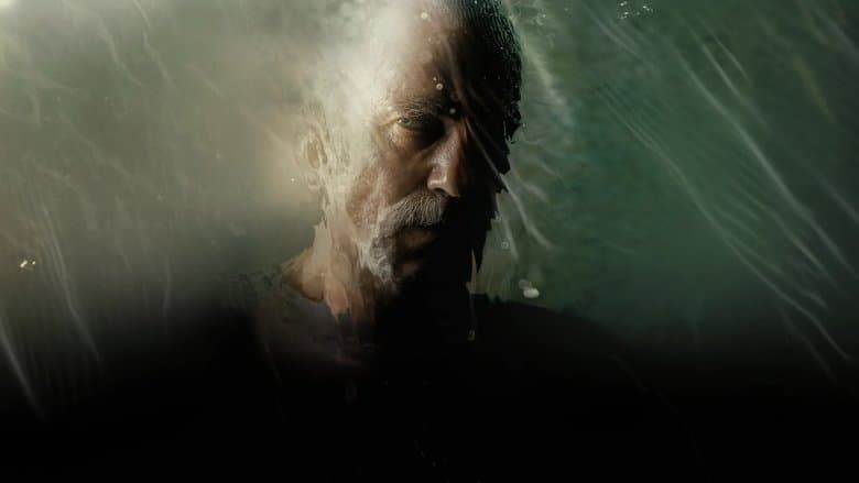 Anemone still