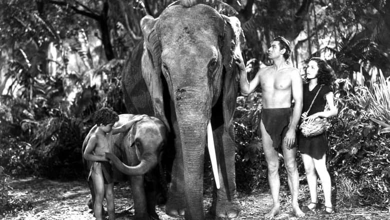 Tarzan Finds a Son! still