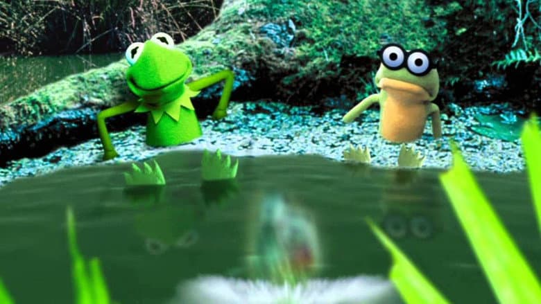Kermit's Swamp Years still