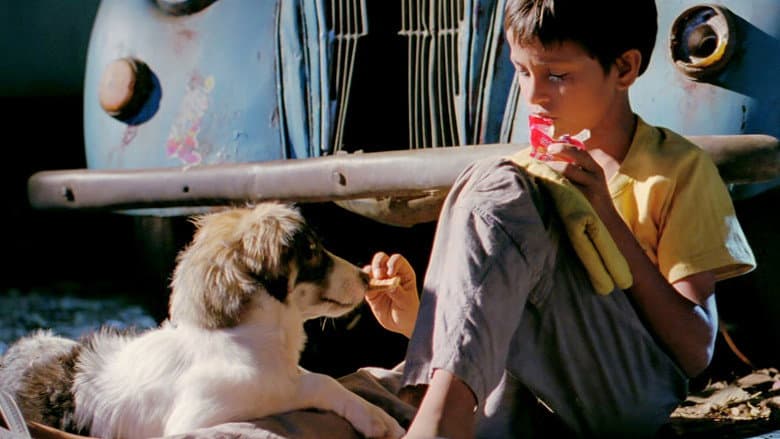Chillar Party still