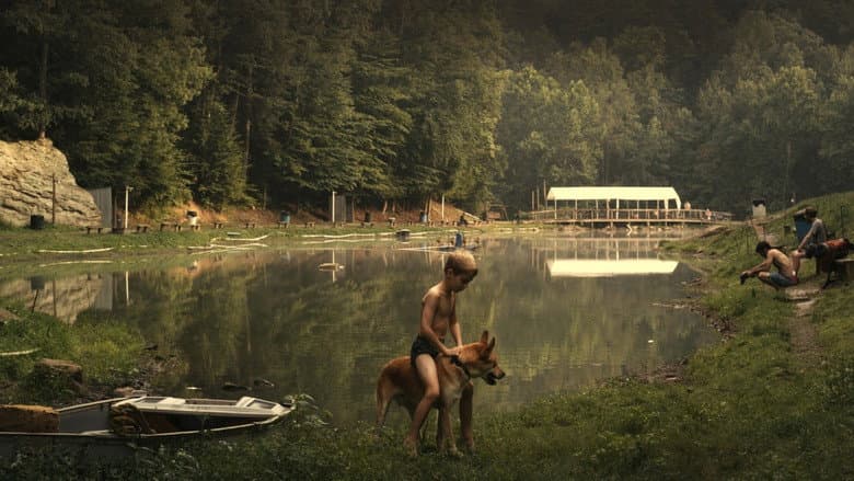 Pilgrim Song still