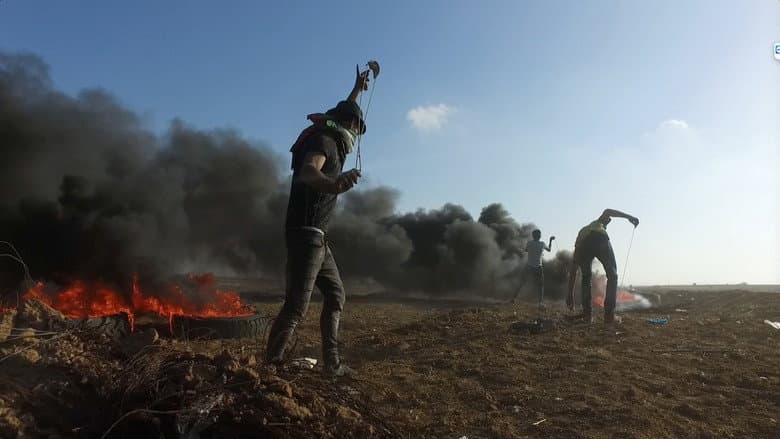 Gaza Fights for Freedom still