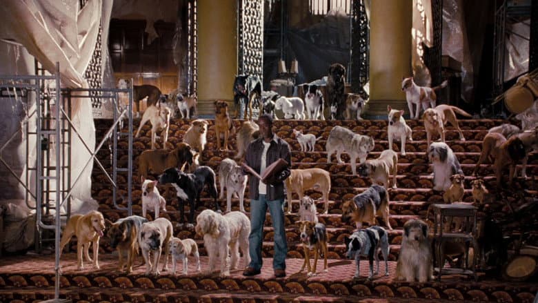 Hotel for Dogs still