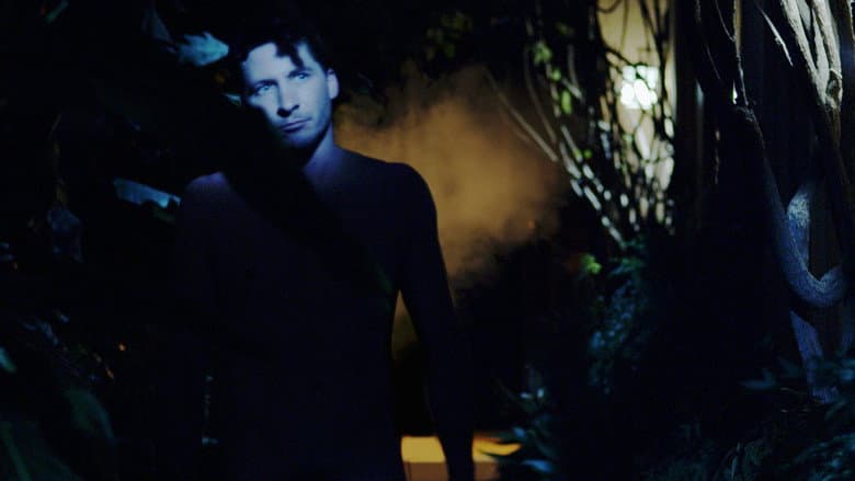 Hippopotamus still