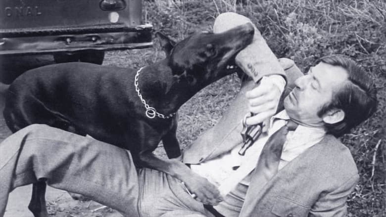 The Daring Dobermans still