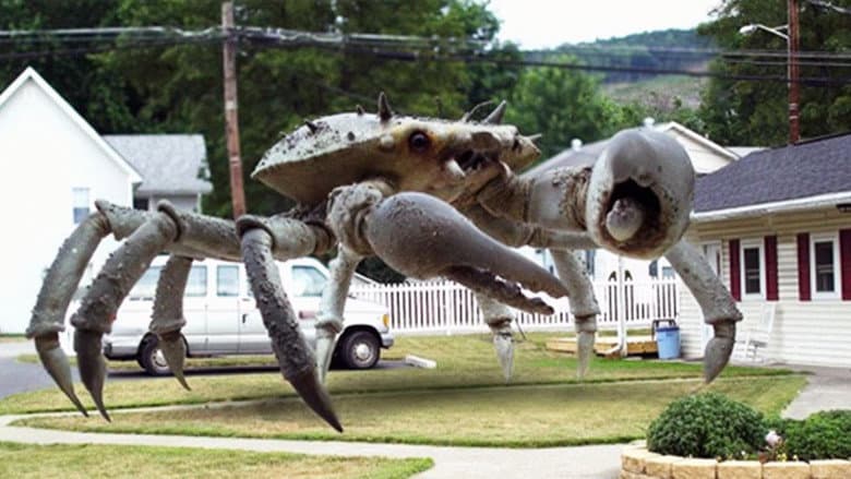 Queen Crab still