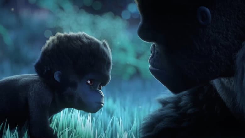 Liyoki still