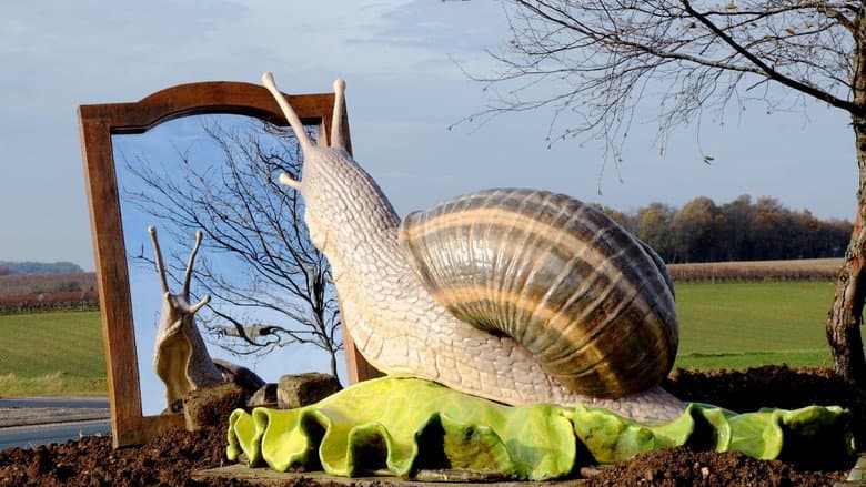 Roundabout Art still