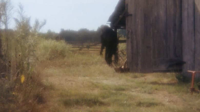 Boggy Creek II: And the Legend Continues still