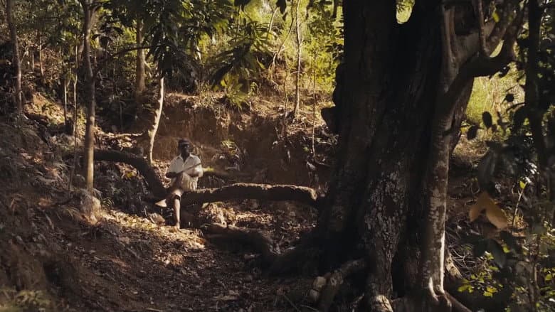 Papa Machete still