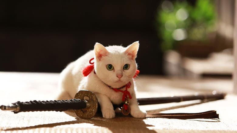 Samurai Cat 2: A Tropical Adventure still