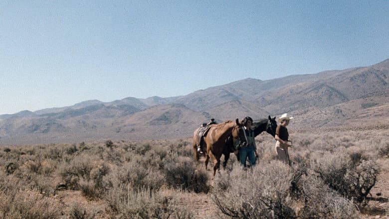 Desert Hearts still