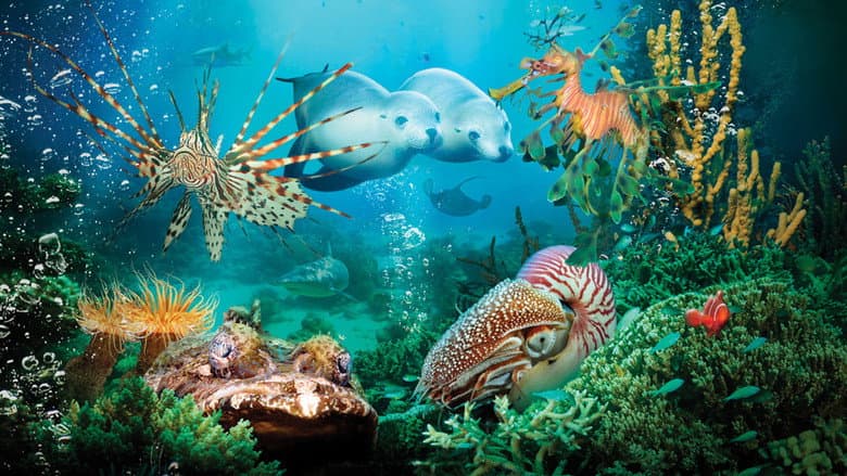 Under the Sea 3D still
