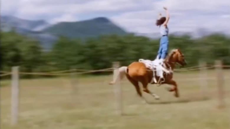 How the West Was Fun still