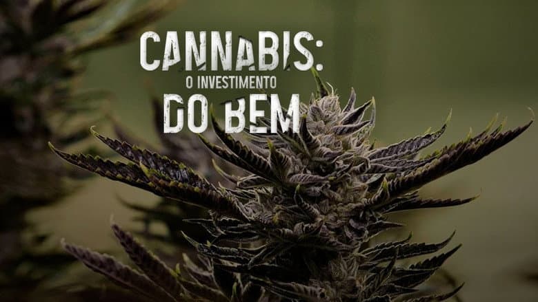 Cannabis: O Investimento do Bem still