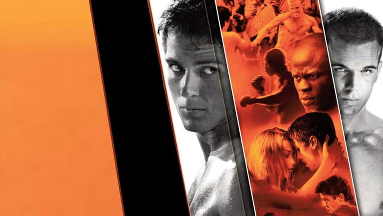 Never Back Down still