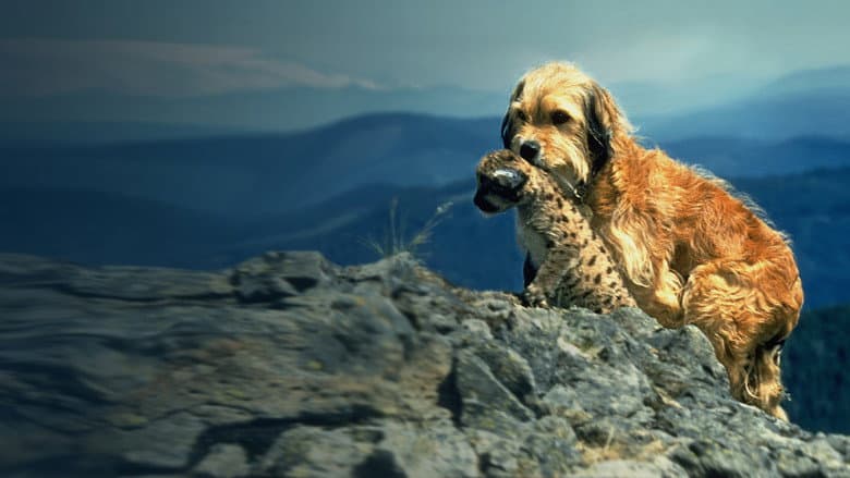 Benji the Hunted still