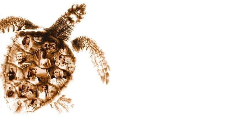 Loggerheads still