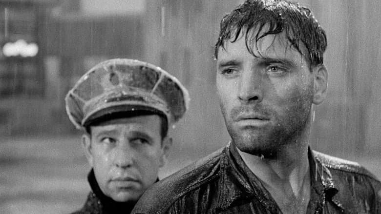 Brute Force still