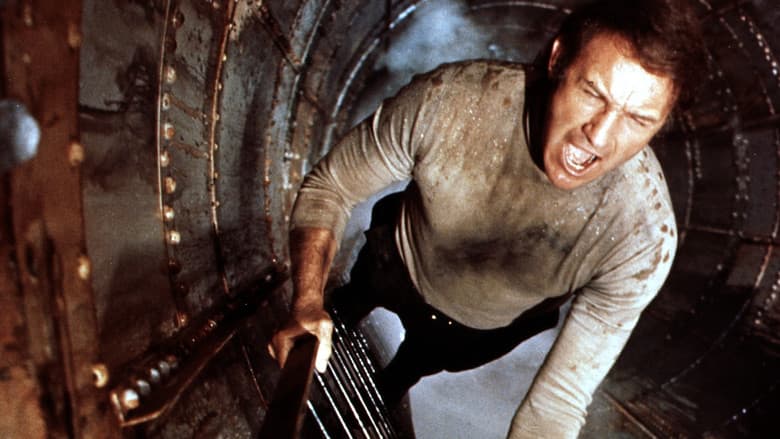 The Poseidon Adventure still