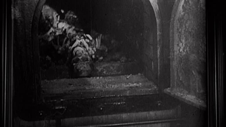 Imaginary Witness: Hollywood and the Holocaust still