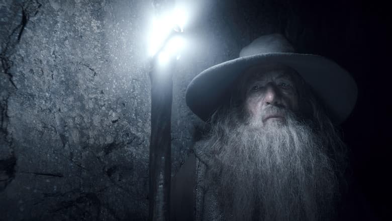 The Hobbit: The Desolation of Smaug still