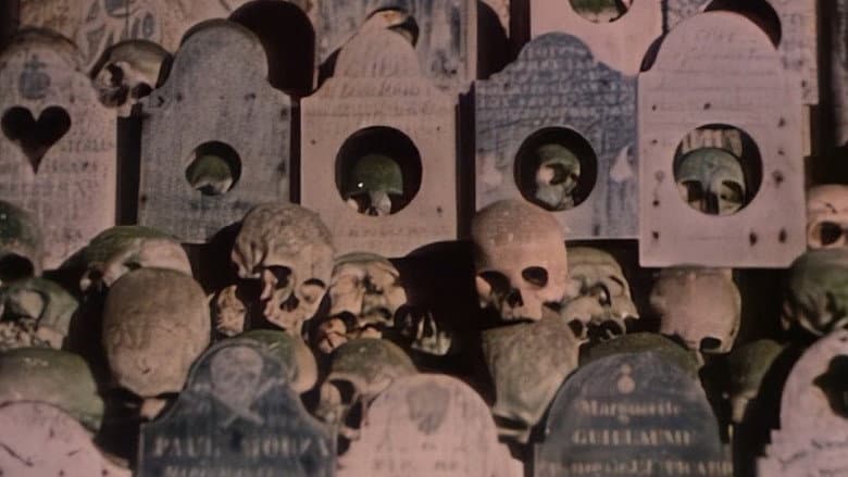 Faces of Death II still