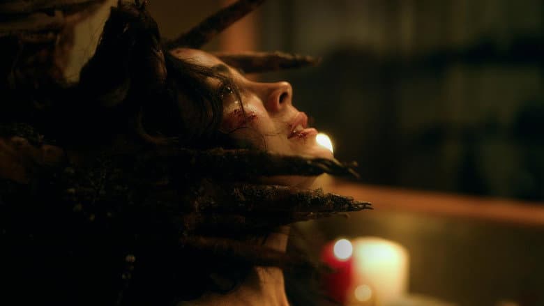 Rosario still