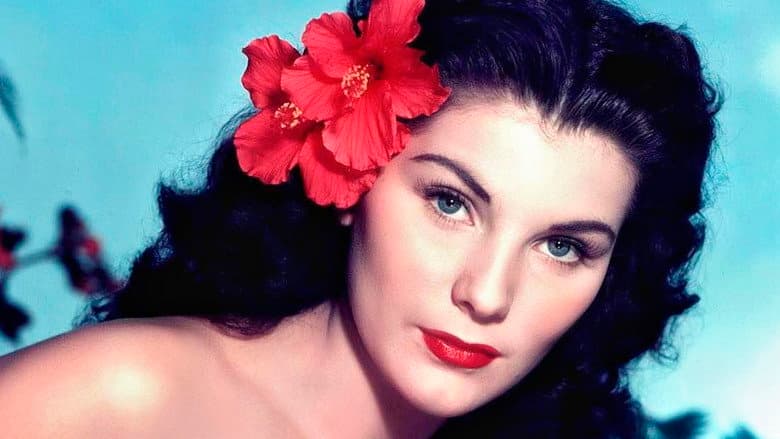 Bird of Paradise still