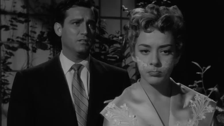 Mi desconocida esposa still