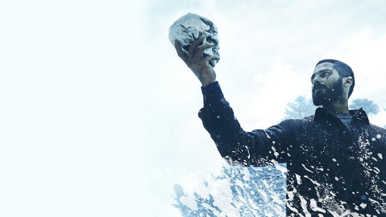 Haider still