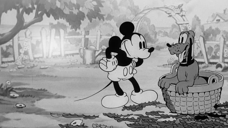 Playful Pluto still