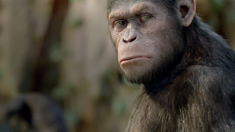 Rise of the Planet of the Apes still