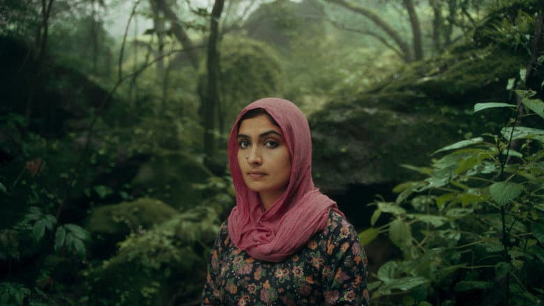 The Shepherdess and the Seven Songs still
