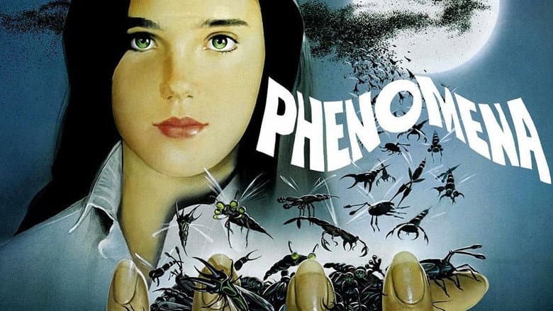 Phenomena still