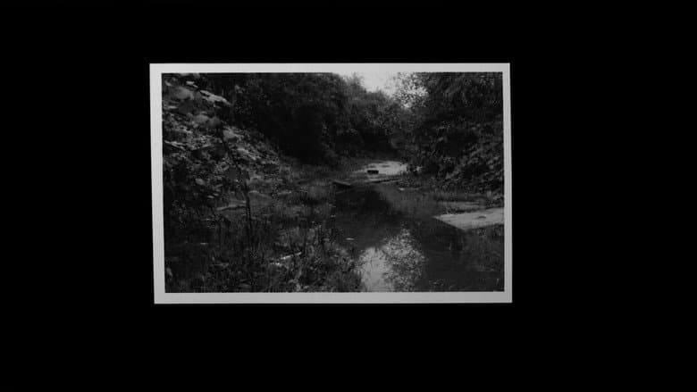 Grantham Overgrown (Infinite Regression) still