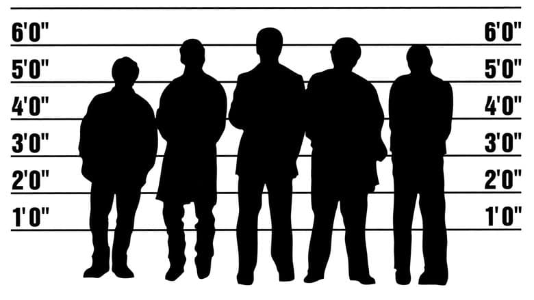 The Usual Suspects still