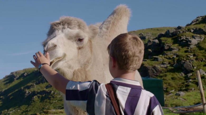 The Arctic Camels still