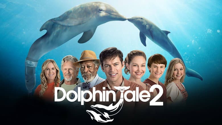 Dolphin Tale 2 still