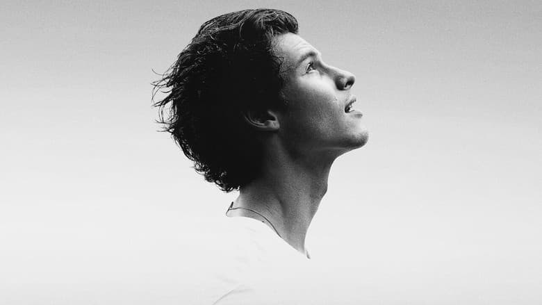 Shawn Mendes: In Wonder still
