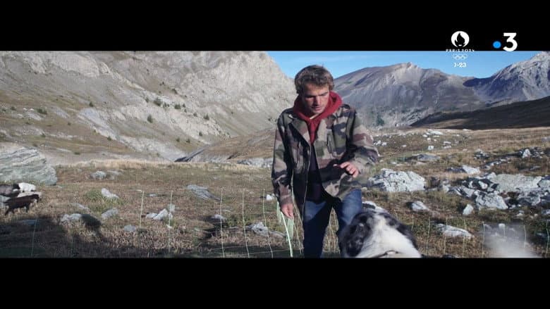 A Shepherd still