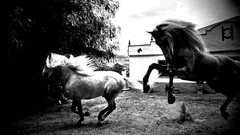 Horse of Kings, Thief of Hearts still