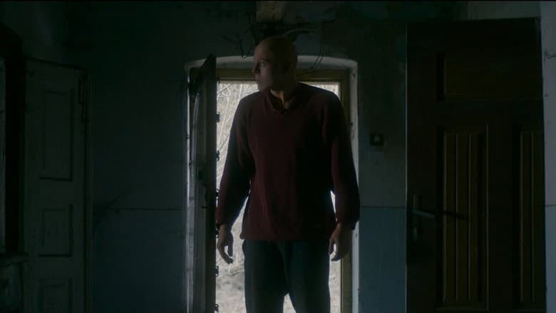 Totem still