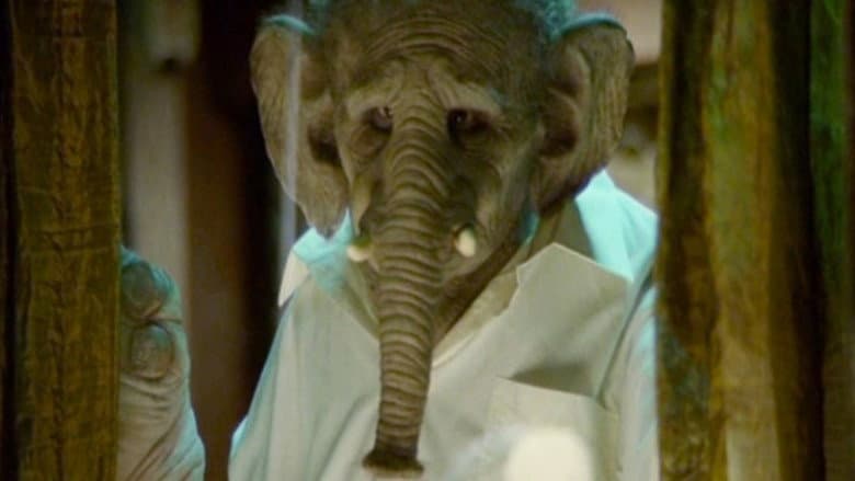 Elefante still